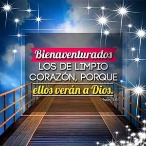 Meet your Posher, Dolores